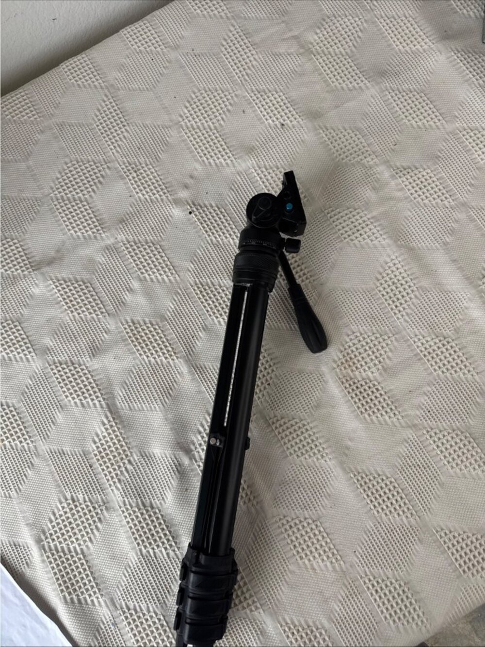 Lightweight Black Camera Tripod w Adjustable Head & Quick Release Plate